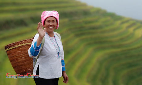Ethnic Woman at Guilin Longji Rice Terraced Field
