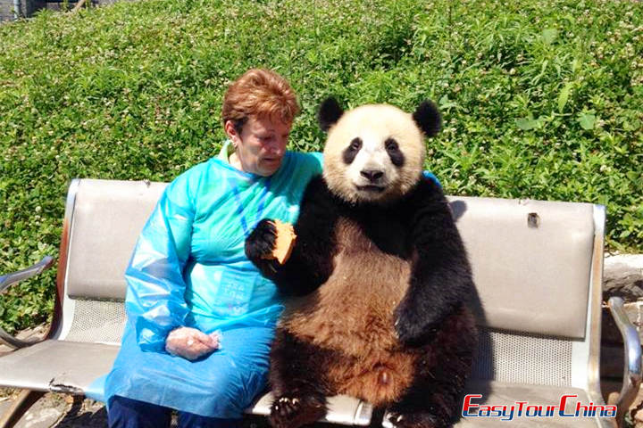 Hug Panda at Chengdu Panda Base