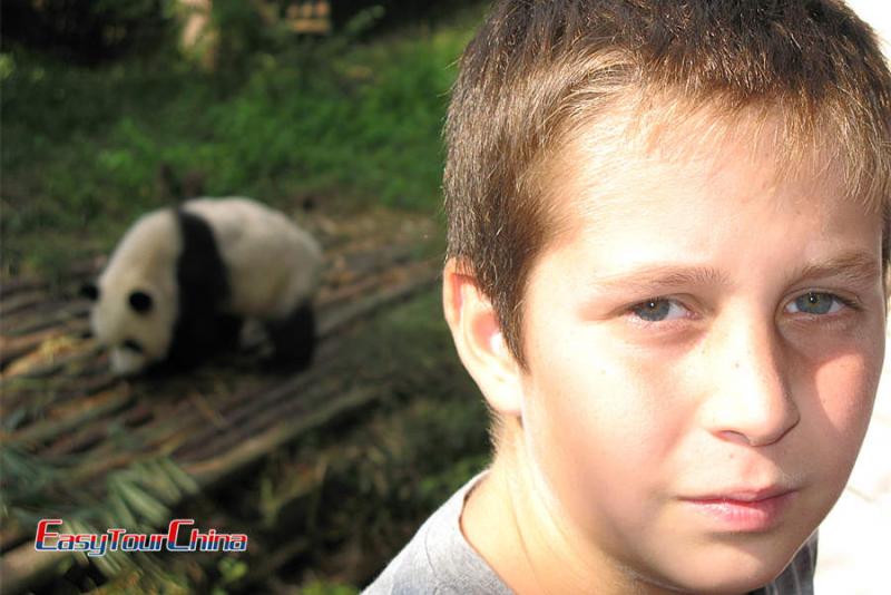 family travel to Chengdu to see giant pandas