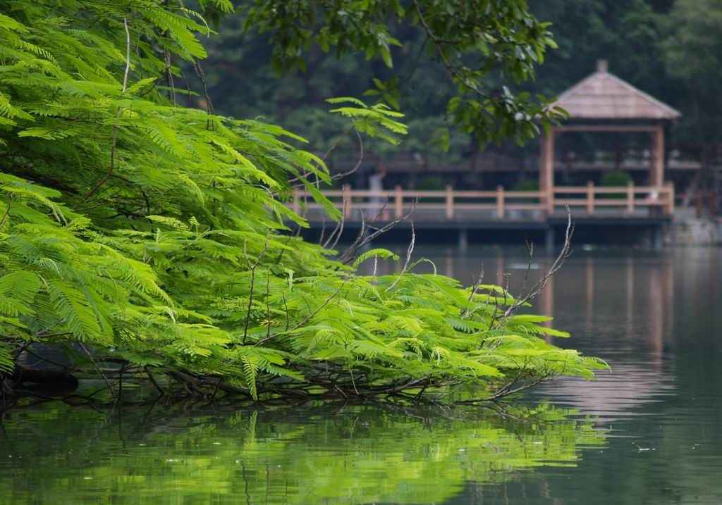 Meizhou Travel Tours, Meizhou Hakka ethic group travel, Guandong