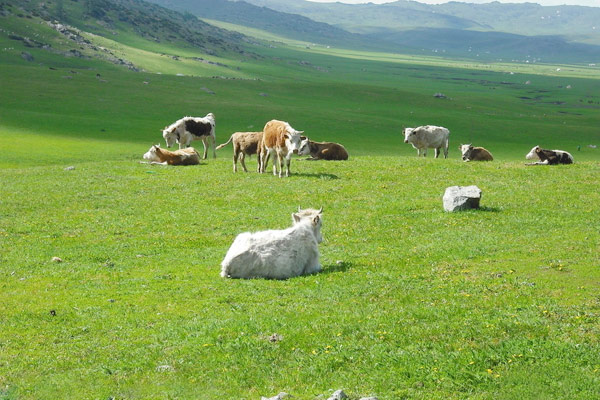 Tianshan Mountains, Xinjiang China