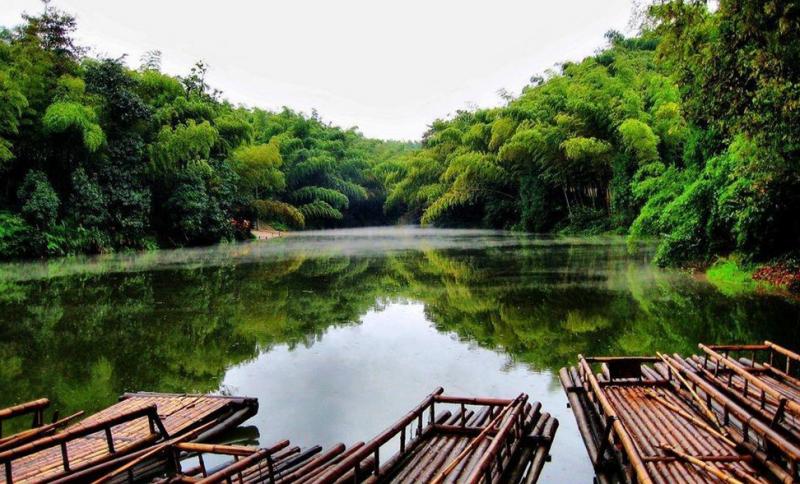 Sichuan tours to Shunan Bamboo Forest
