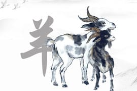 Chinese Zodiac Goat