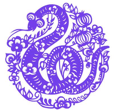chinese zodiac snake years
