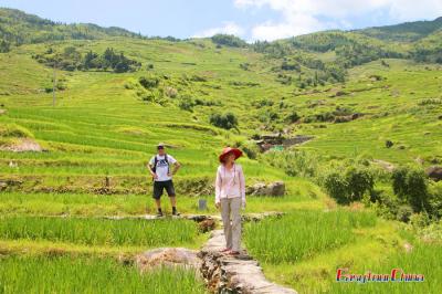 Visiting Guilin Longji Rice Terraced Fields