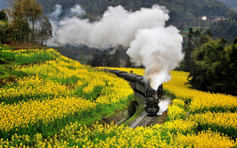 top China train tours 