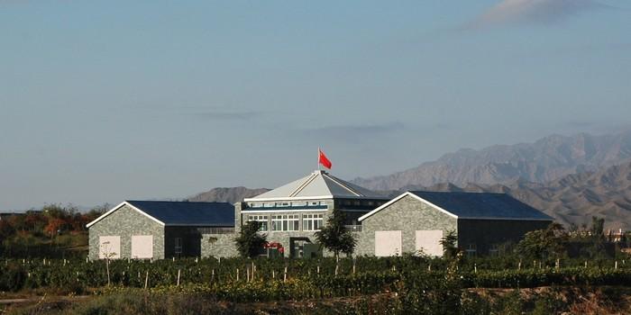 Helan Qingxue Vineyard in Yinchuan
