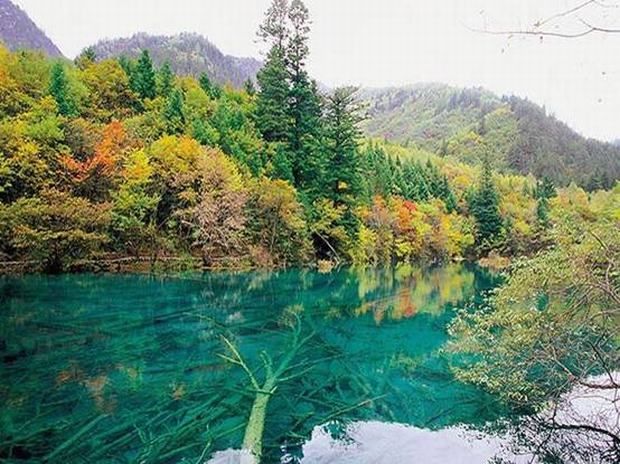 5-day Shenzhen – Jiuzhaigou Tour