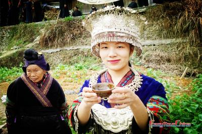 Langde Miao girl holding welcome drink