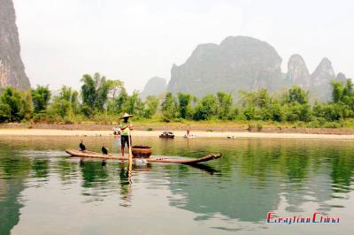 Li RivGuilin Li River Cormorant Fisherman