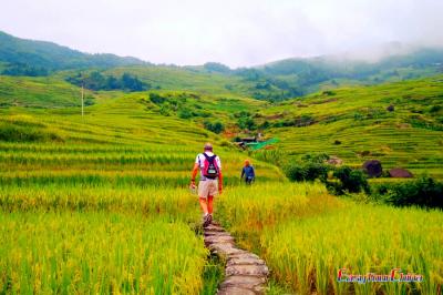 Guilin Longji Rice Terraces Hiking