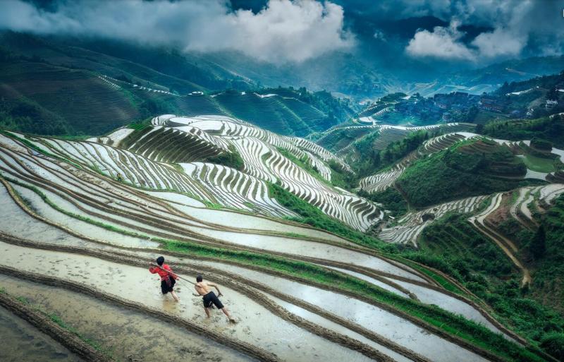 Longji Terraces Listed As Globally Important Agriculture Heritage