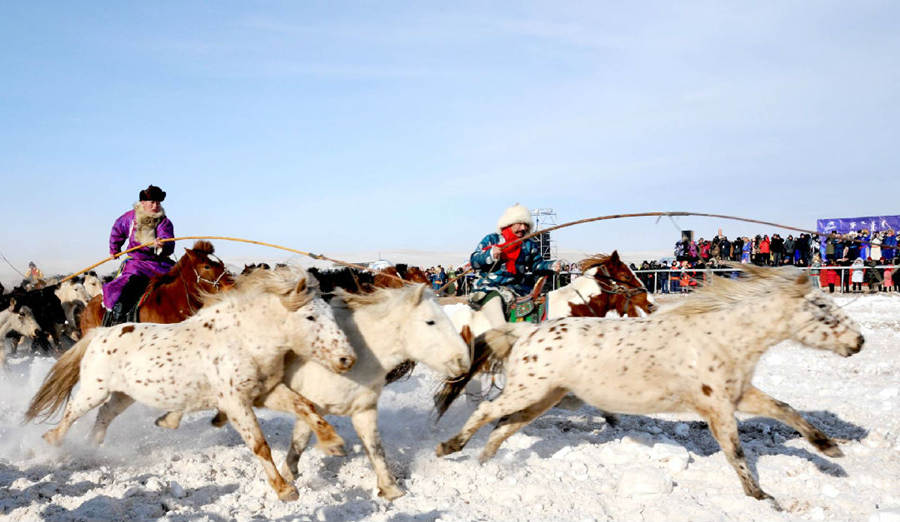 Horse Racing at Mongolian Naadam Festival