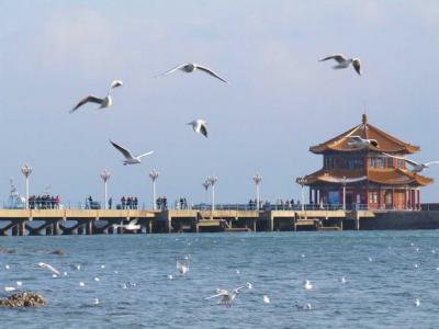 Trio to Qingdao on weekend and visit the Pier of Zhanqiao