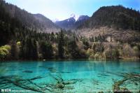 Fairy Land Jiuzhaigou Sichuan