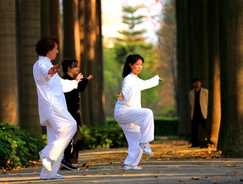 China Taiji Kung Fu tours