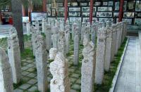 Forest of Stone Stele Museum