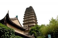 Xian Museum & Small Wild Goose Pagoda
