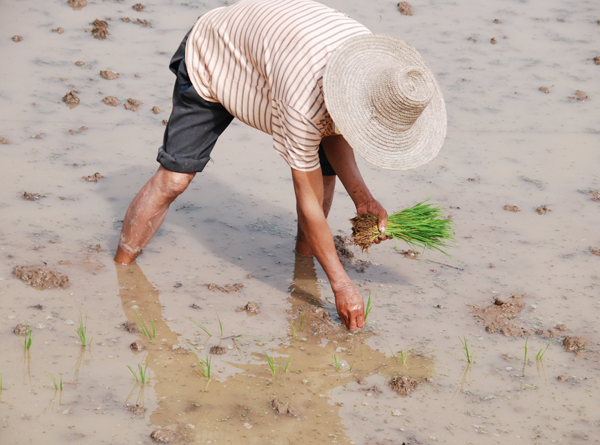 Yangshuo Bamboo Rafting along Li River & Yulong River Yangshuo bamboo rafting, Guilin China
