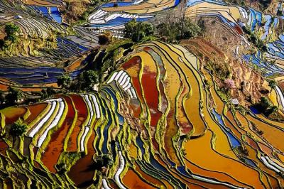 Yunnan Yuanyang Terraced Rice Fields