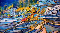 An Adventure to Off-the-beaten-track Yuanyang Rice Terraces