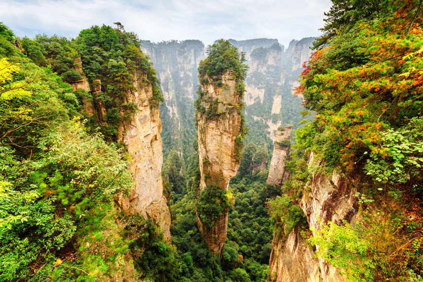 Take in the breathtaking view of Zhangjiajie national forest park