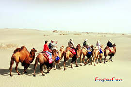 China Silk Road Tours Desert Camel Riding