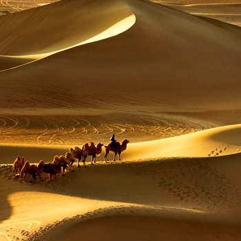 Dunhuang Tours