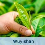 Wuyishan Tours