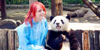 Visit Panda in Chengdu