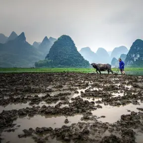 Guilin Karst Hills