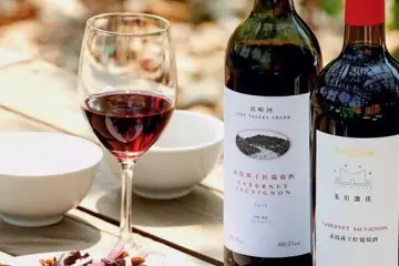 Xian Wine Tasting
