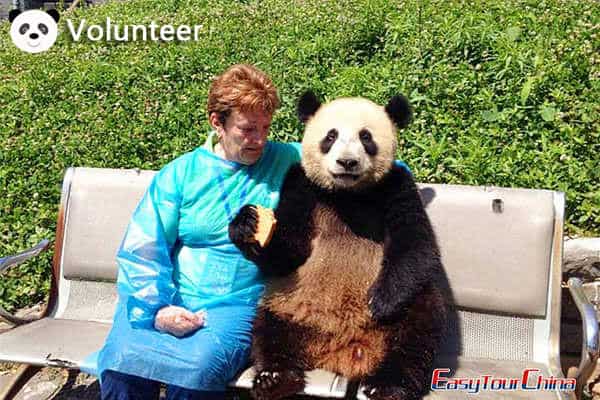 Dujiangyan Panda Base Volunteer Tour