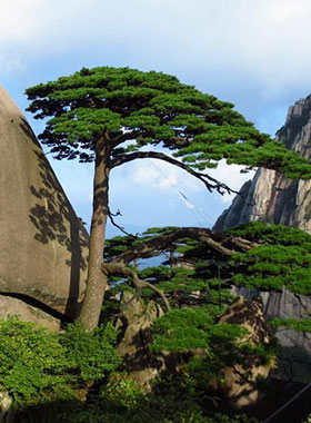 Huangshan