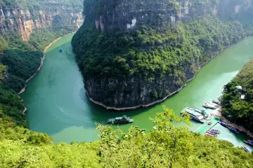 shennong stream