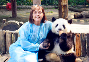 Easy Tour China client hugging a panda at Chengdu Panda Base