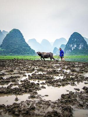 Guilin Karst Mountains Landscape