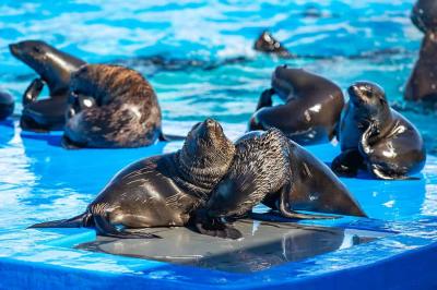 Haichang Ocean Park in China