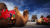 Adventure to the Ancient Silk Road: Facts & Travel Tips