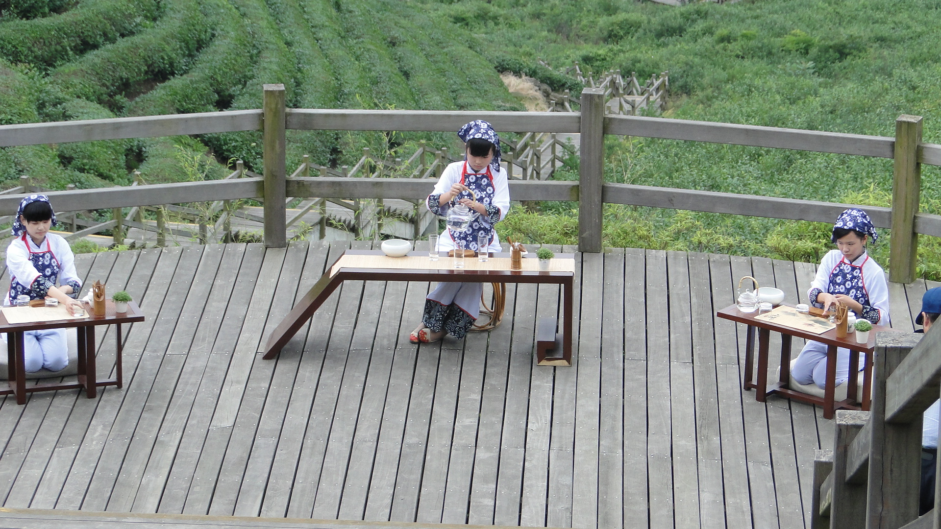 Anxi Oolong Tea Ceremony