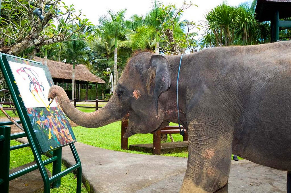 Baan Chang Elephant Park