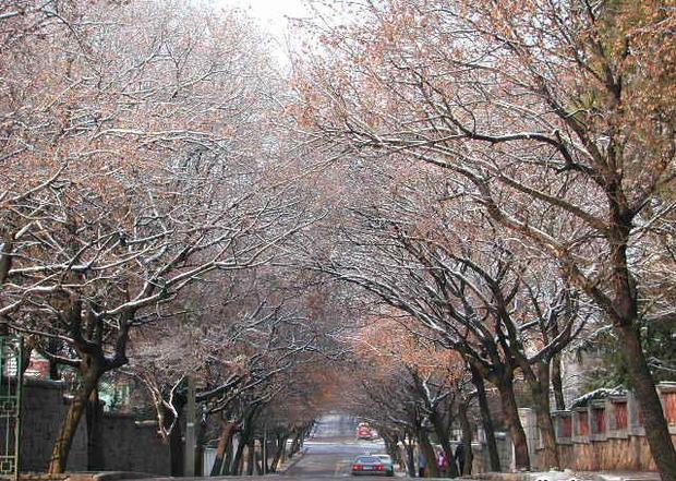 Qingdao Badaguan Scenic Area in Winter, Qingdao Badaguan