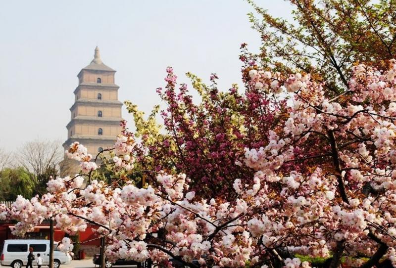 Xian attractions - Big wild goose pagoda