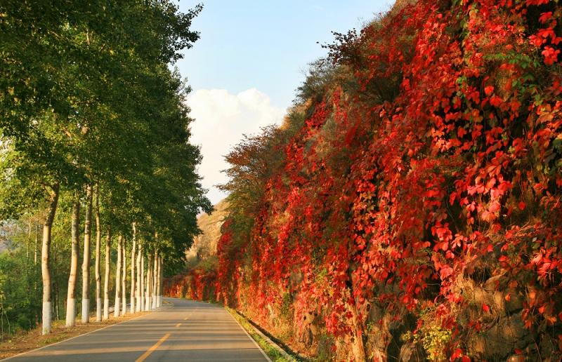 Landscape of Beijing One-hundred-li Landscape Corridor