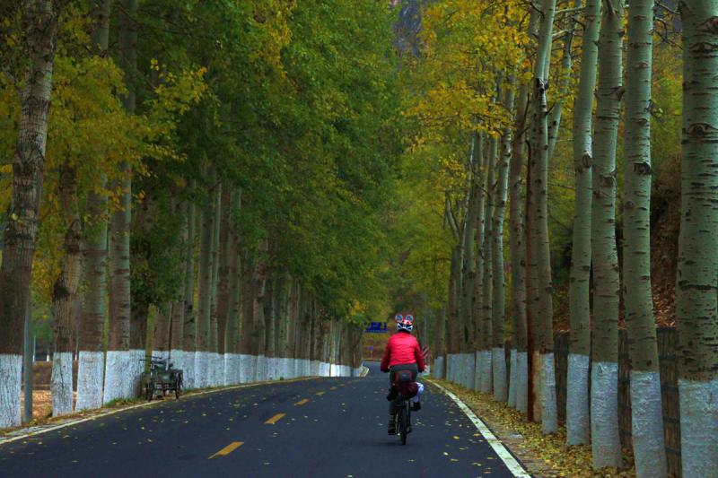 Scenic Beijing Bike Tour at Yanqing