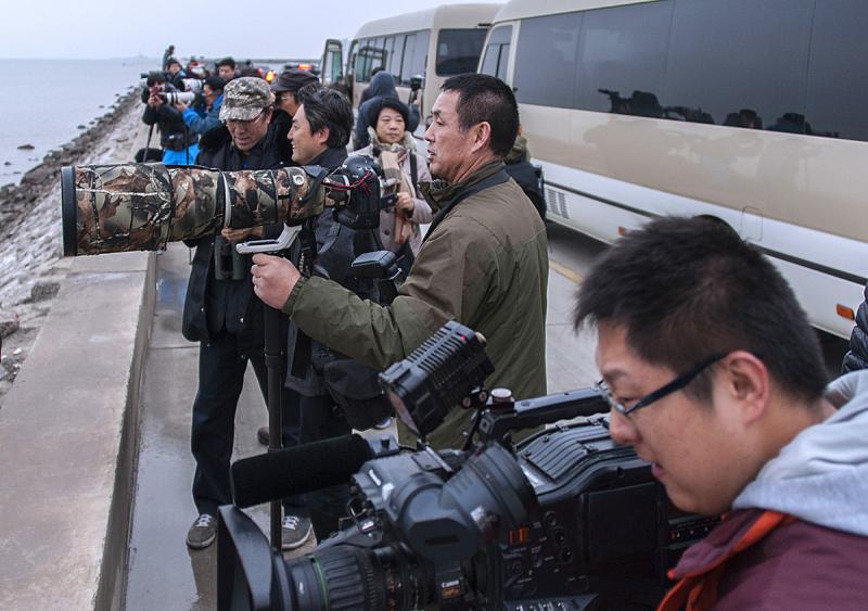 Tianjin Birding tour