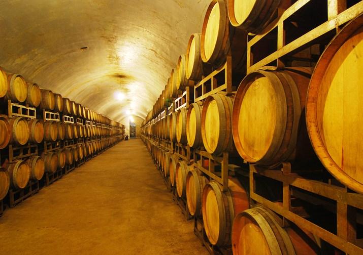 Zhangyu Winery Cellar 