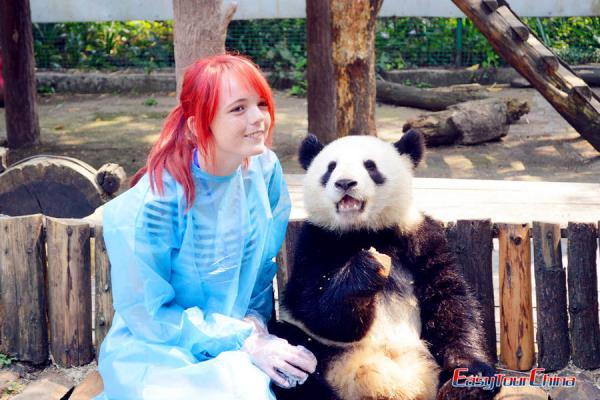 teenage panda keeper take photo with panda