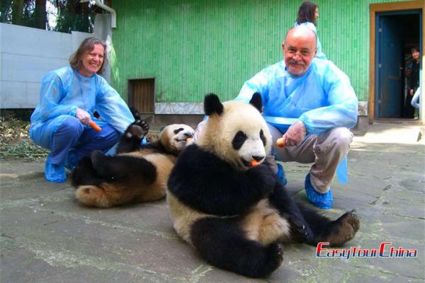 Senior join panda volunteer program in Chengdu