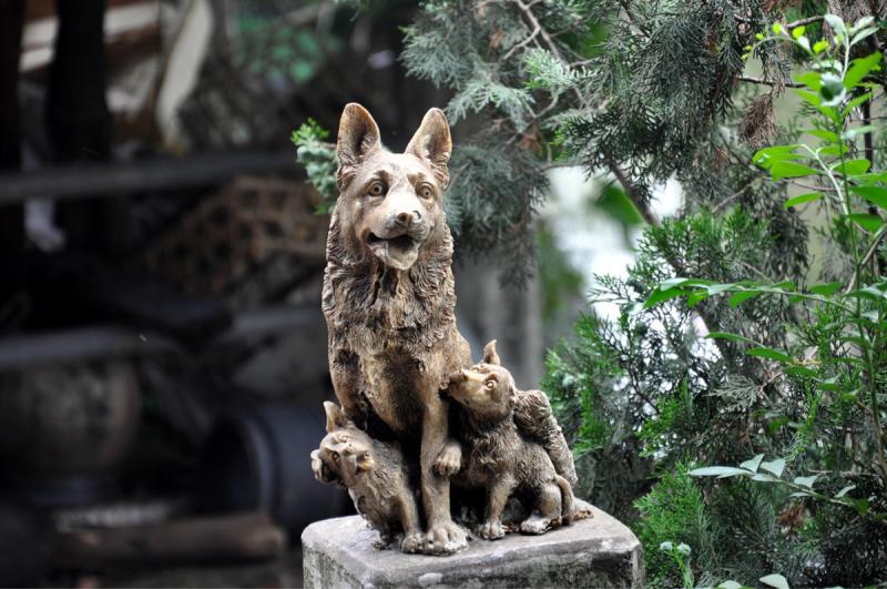 Chinese ancient town discovery